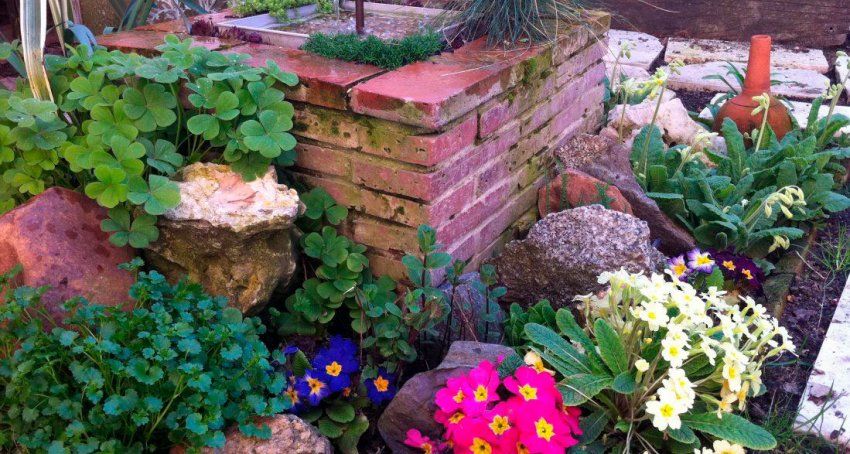 Empresa de jardinería en Valladolid