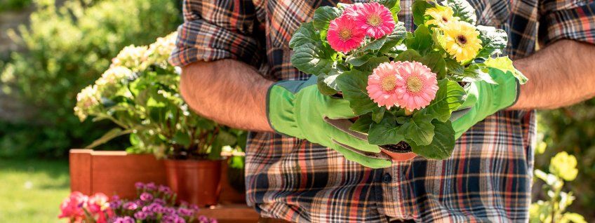 Contratar jardinero en Valladolid
